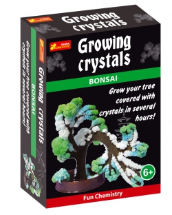 Bonsai Bonsai