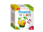 Paint & Decorate.Flowers in a Pot Paint & Decorate.Flowers in a Pot