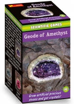 <h10><strong><font color="#ff0000"></font></strong></h10> Geode of Amethyst <h10><strong><font color="#ff0000"></font></strong></h10> Geode of Amethyst