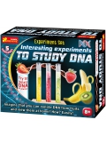<h10><strong><font color="#ff0000"></font></strong></h10> Interesting Experiments To Study DNA
