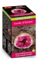 <h10><strong><font color="#ff0000">New!</font></strong></h10> Geode of Garnet