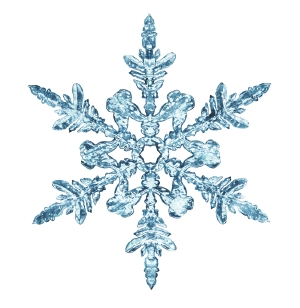 Winter Greeting!